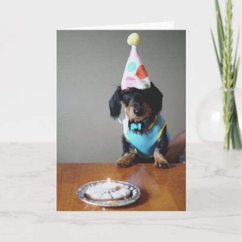 Funny Dachshund Dog Birthday Card
