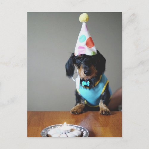 Funny Dachshund Dog Birthday Card