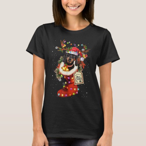 Funny Dachshund Dog In Christmas Sock Santa Hat Xm T_Shirt