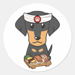 Funny dachshund dog is a sushi chef classic round sticker