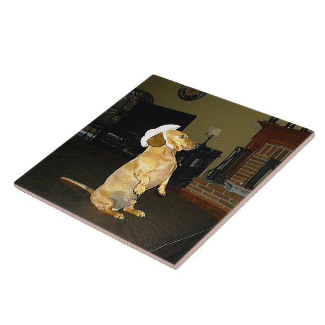 Funny Dachshund Dog Lover Sitting Pretty Kitchen Ceramic Tile (Side)