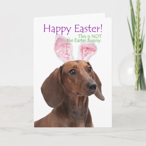 Funny Dachshund Easter Card