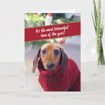 Funny Dachshund Most Wienerful Time Of Year Holiday Card by CimZahDesigns at Zazzle