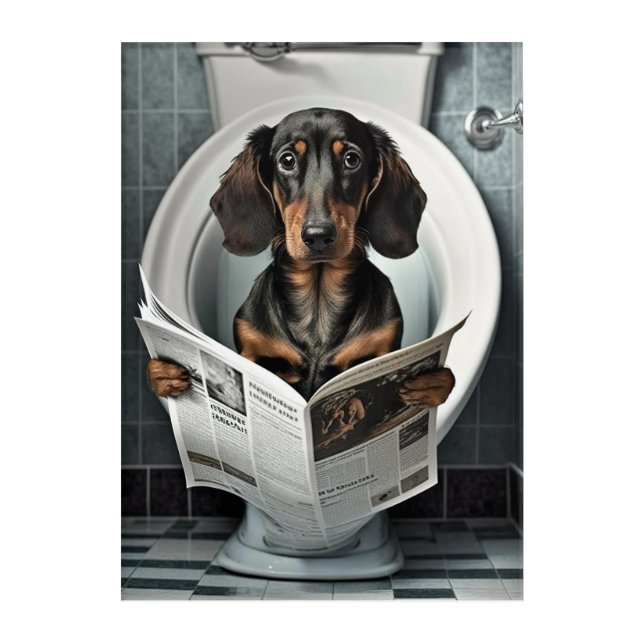 Funny Dachshund on Bathroom Toilet   Acrylic Print (Front)