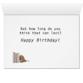 Funny Dachshund Puppy (Inside Horizontal (Bottom))