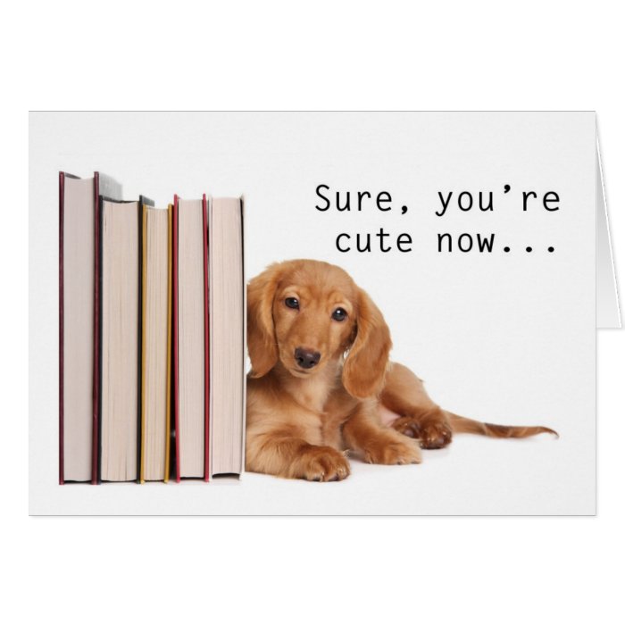 Funny Dachshund Puppy Greeting Cards