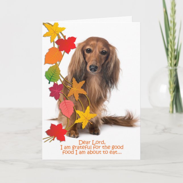 Funny Dachshund Thanksgiving Card (Front)