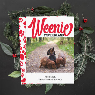 Funny Dachshund Weenie Dog Christmas Custom Photo Holiday Card