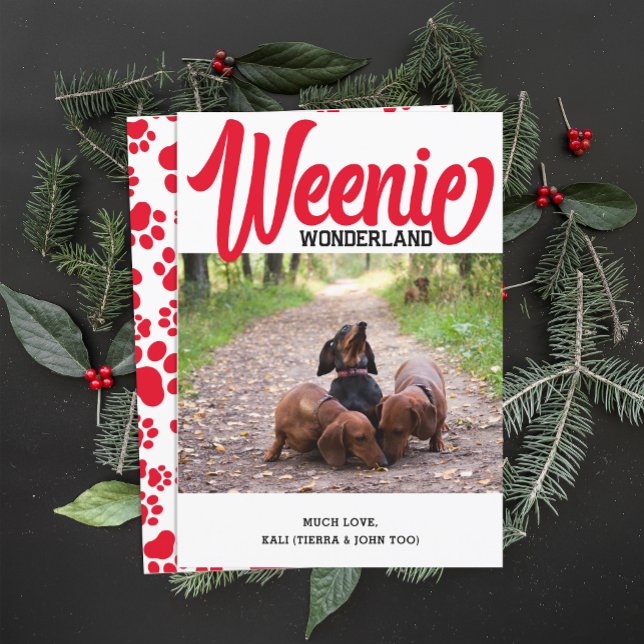 Funny Dachshund Weenie Dog Christmas Custom Photo Holiday Card (Creator Uploaded)