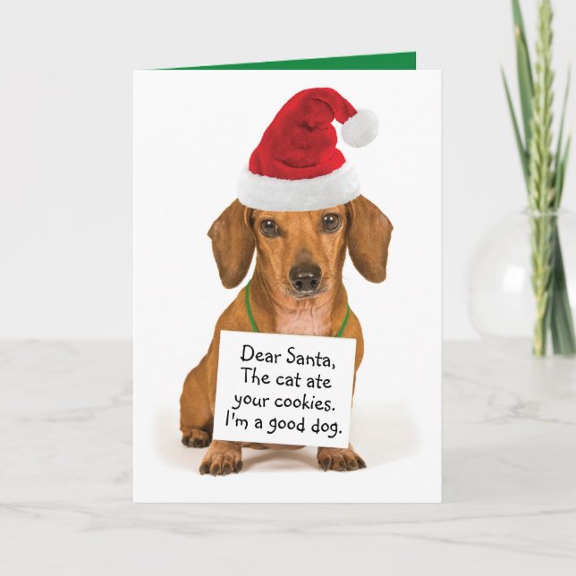 Funny Dachshund with Sign To Santa Christmas Holiday Card (Front)