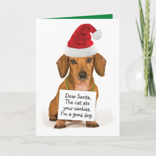 Funny Dachshund with Sign To Santa Christmas Holiday Card