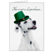 Funny Dalmatian Leprechaun Card (Front)