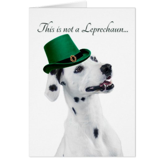 Funny Dalmatian Leprechaun Card (Front)