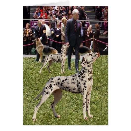 Funny Dalmatian Show Dog Cards (Front)