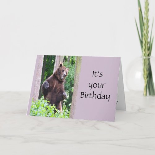 Funny Dancing Bear Birthday Animal Humor Card