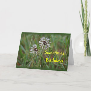 Funny Dandelion Birthday - change for any occasion Card
