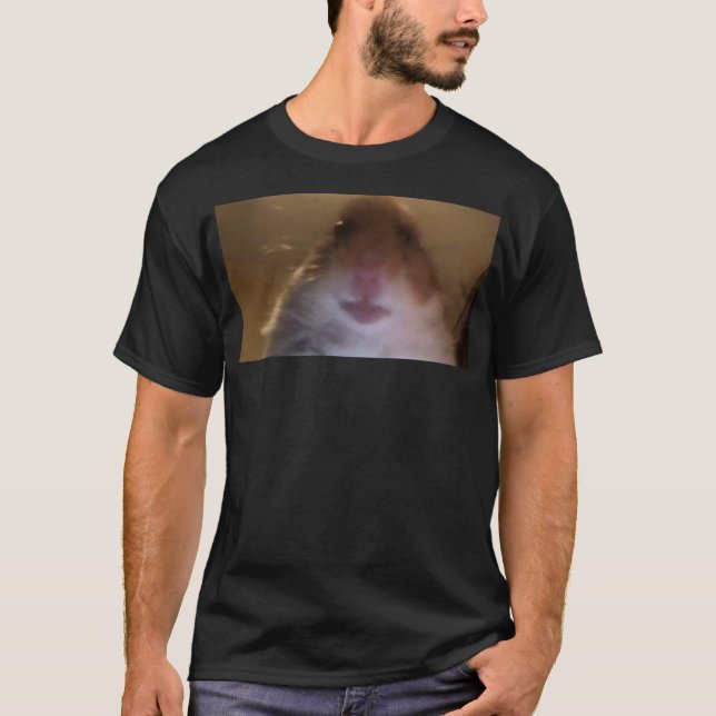 Funny Dank Meme Hamster Staring Front Camera Inter T-Shirt (Front)