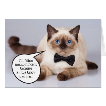 Funny dapper cat with bowtie customizable birthday card