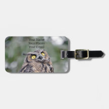 Funny Dazed Owl Luggage Tag