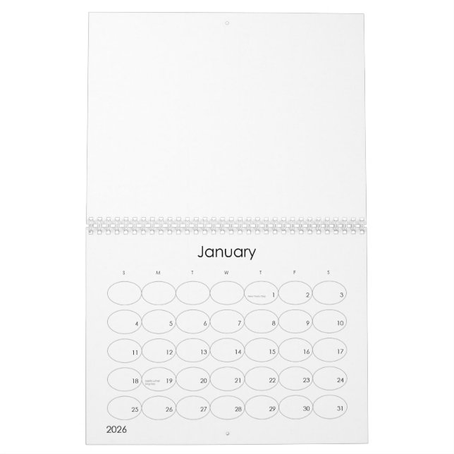 Funny deal or no deal suprise box calendar (Jan 2026)