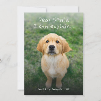 Funny Dear Santa I Can Explain Photo Holiday Card
