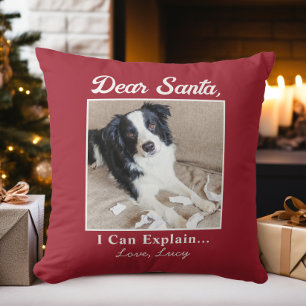 Funny Dear Santa Pet Dog Cat Christmas Photo Throw Pillow