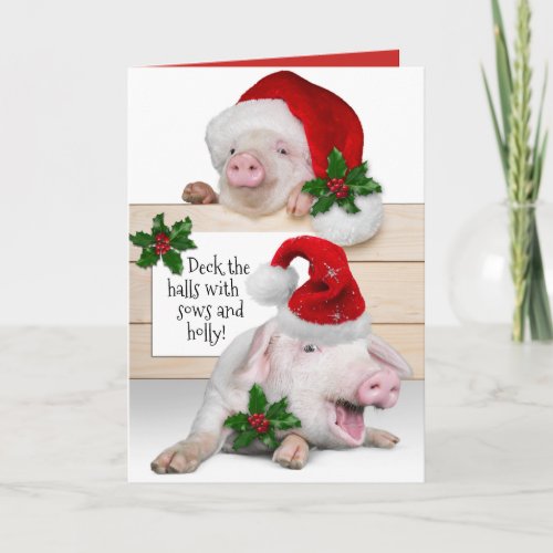 Funny Deck The Halls With Sows and Holly Holiday Card