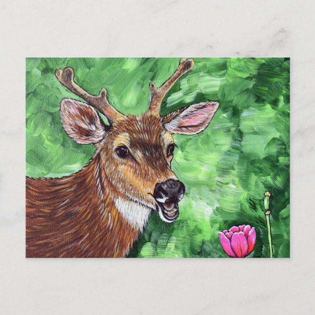 Funny Deer Painting Postcard (Front)