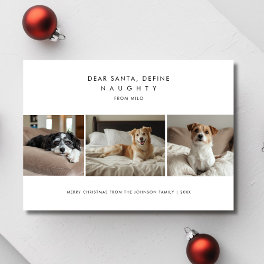 Funny Define Naughty Christmas Dog Photo Greetings Holiday Card