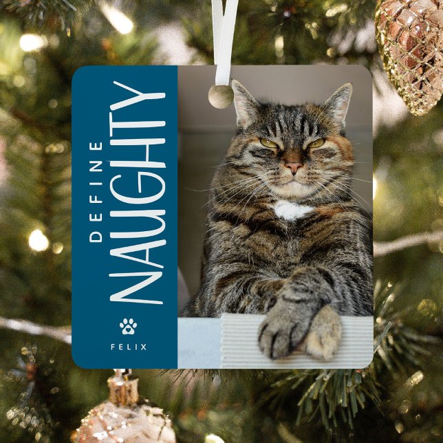 Funny Define Naughty Pet Photo Keepsake Gift Metal Ornament (Creator Uploaded)