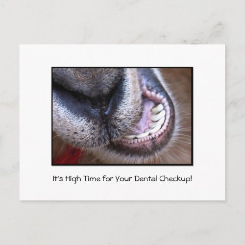 Funny Dental Checkup Appointment Reminder Goat Postcard