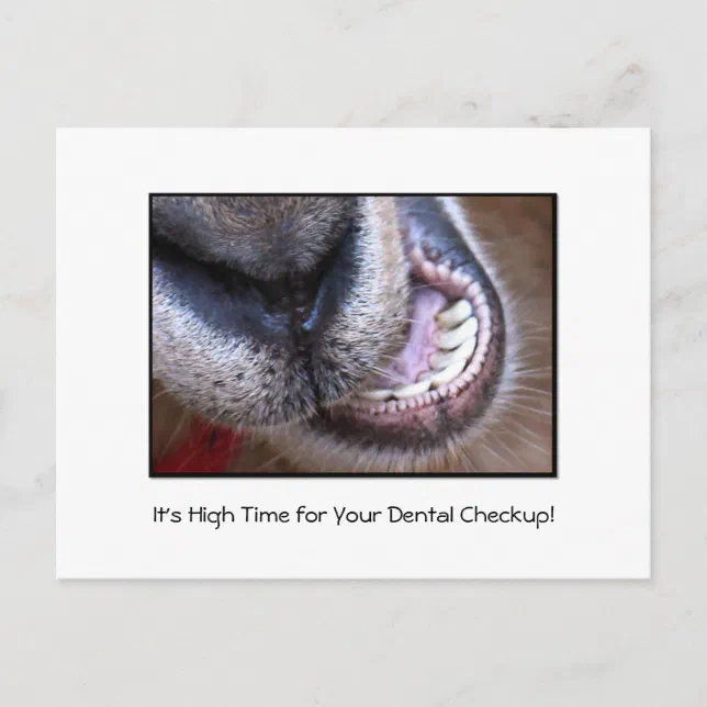 Funny Dental Checkup Appointment Reminder Goat Postcard | Zazzle