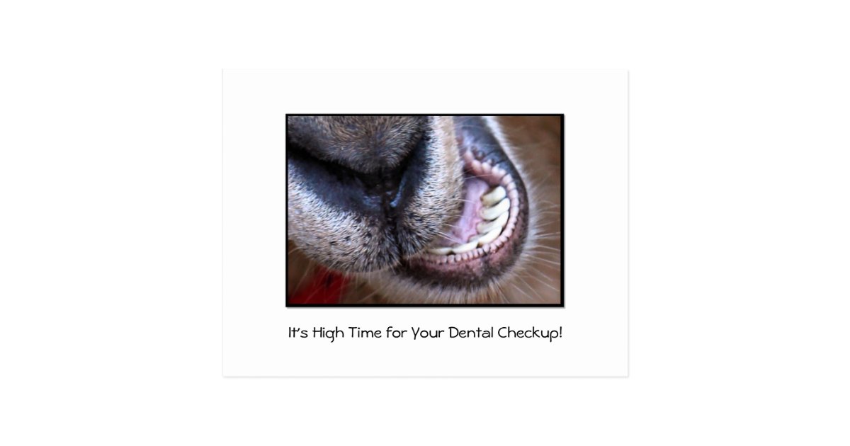 Dental appointment reminder text Dental appointment reminder text