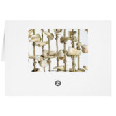 Funny Dental Photography Extracted Teeth Dentist (Back Horizontal)