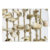 Funny Dental Photography Extracted Teeth Dentist (Front Horizontal)