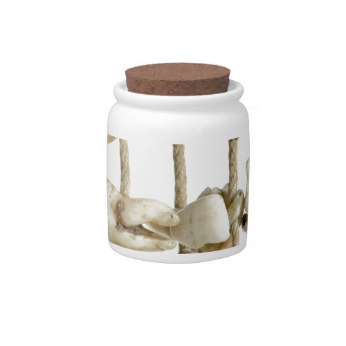 Funny Dental Photography Extracted Teeth Dentist Candy Jar
