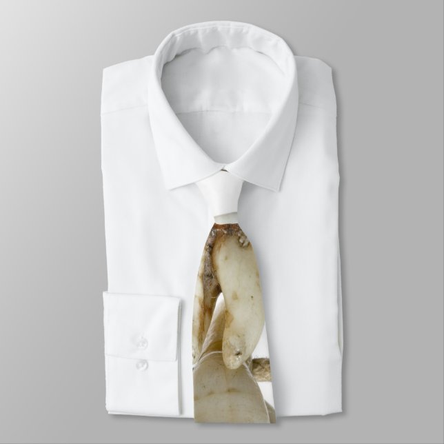 Funny Dental Photography Extracted Teeth Dentist Neck Tie (Tied)