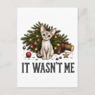 Funny Devon Rex Cats Christmas It Wasn't Me Holiday Postcard