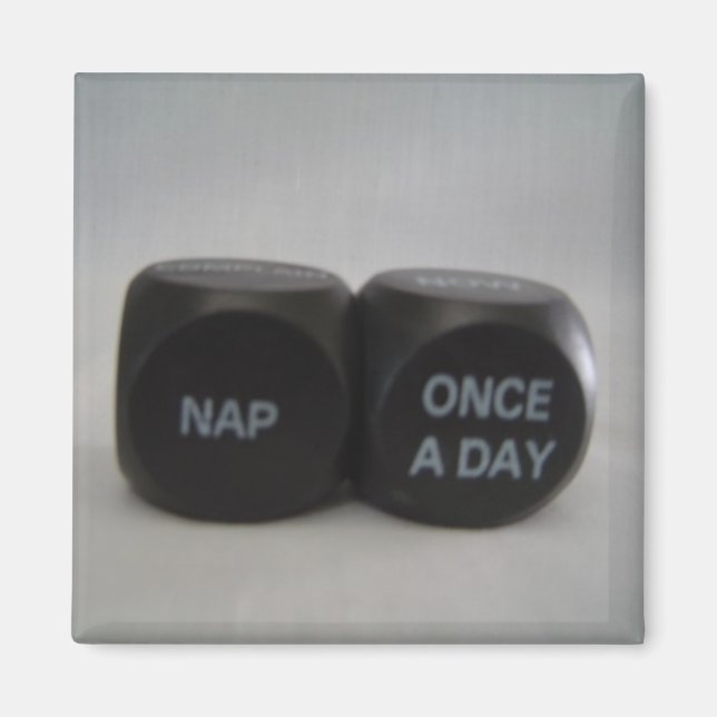 Funny Dice Magnet (Front)