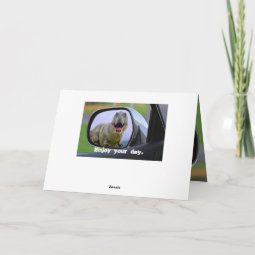 Funny Dinosaur Aging Birthday Card | Zazzle