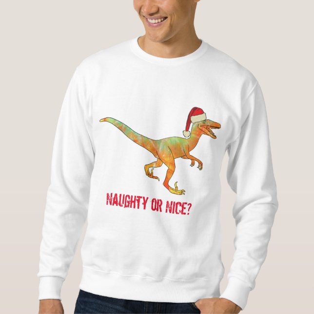 Funny Dinosaur Christmas Sweatshirt (Front)