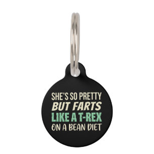 Funny Dinosaur Quote She’s So Pretty But Farts Pet ID Tag