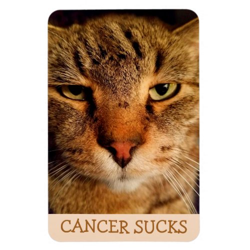 Funny Disgusted Cat Cancer Encouragement Magnet