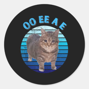 Funny Distressed Oiia Cat Spinning Cat Oi Oi Uiiaa Classic Round Sticker