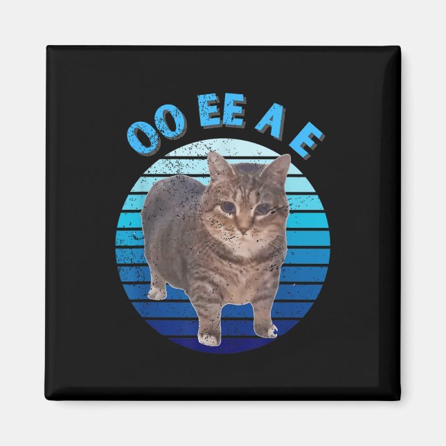 Funny Distressed Oiia Cat Spinning Cat Oi Oi Uiiaa Magnet (Front)