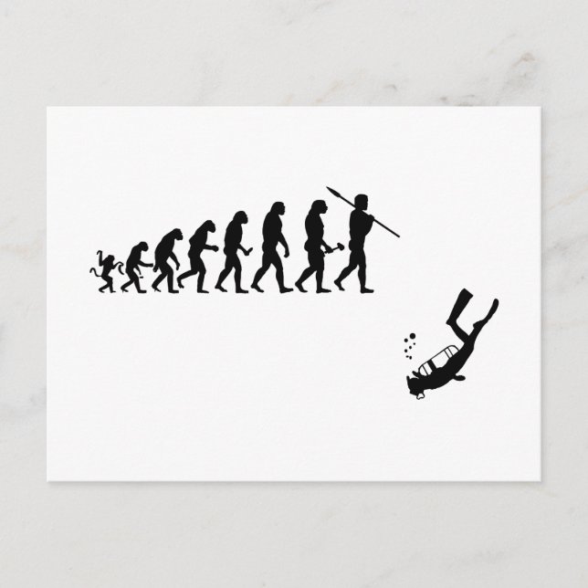 funny diving Evoluton Postcard (Front)