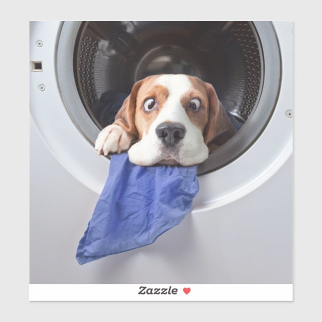 Funny dizzy beagle delicate washing sticker (Sheet)
