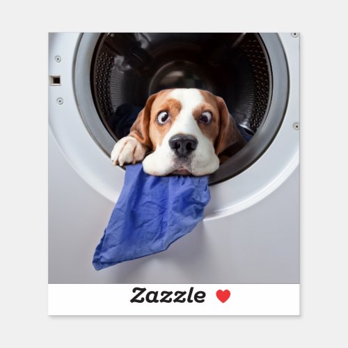Funny dizzy beagle delicate washing sticker