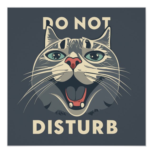 Funny Do Not  Distrub Poster (Front)