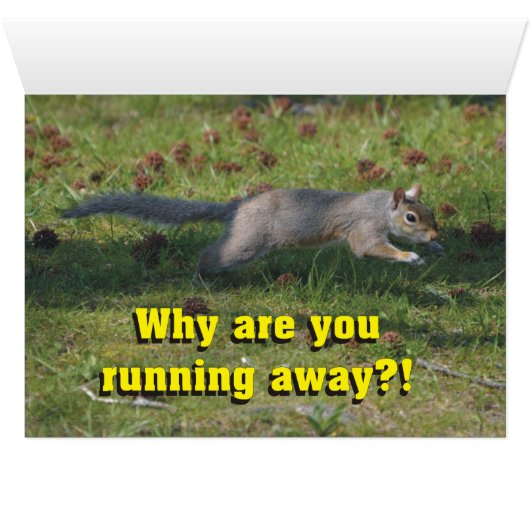 Funny Do You Think My Butt Looks Too Big? (Inside Horizontal (Bottom))